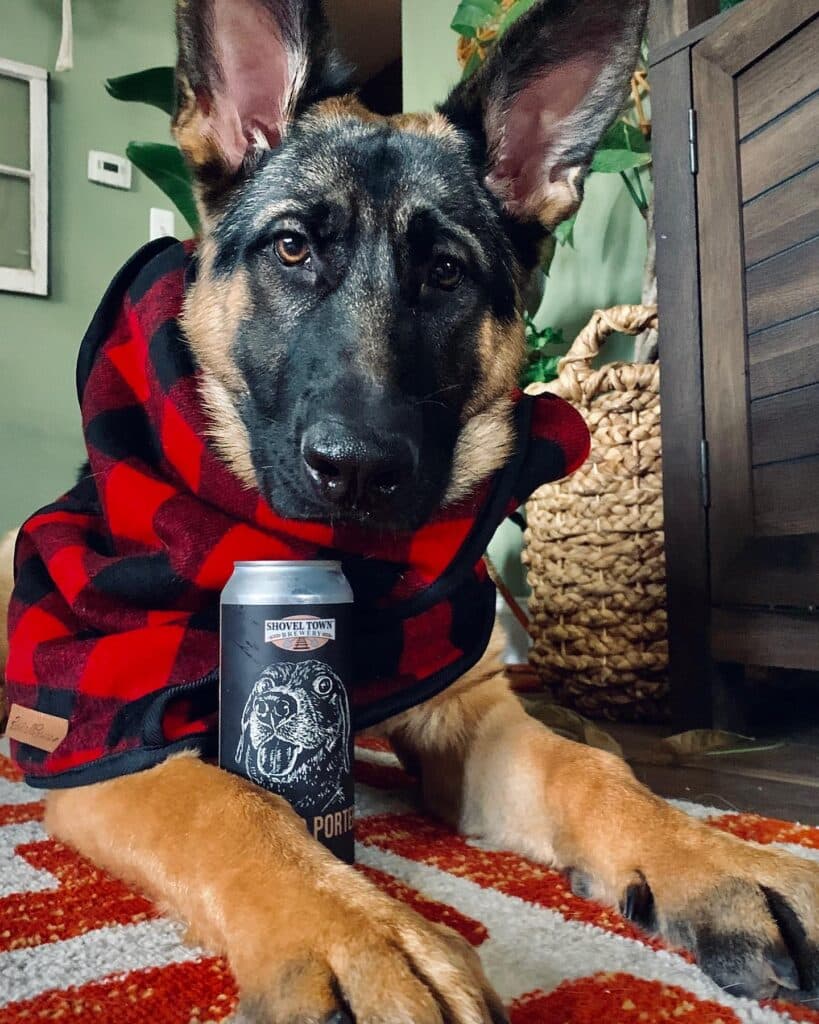 Happy Holidays from Archie and the Shovel Town Crew! Stop in & grab some cans to