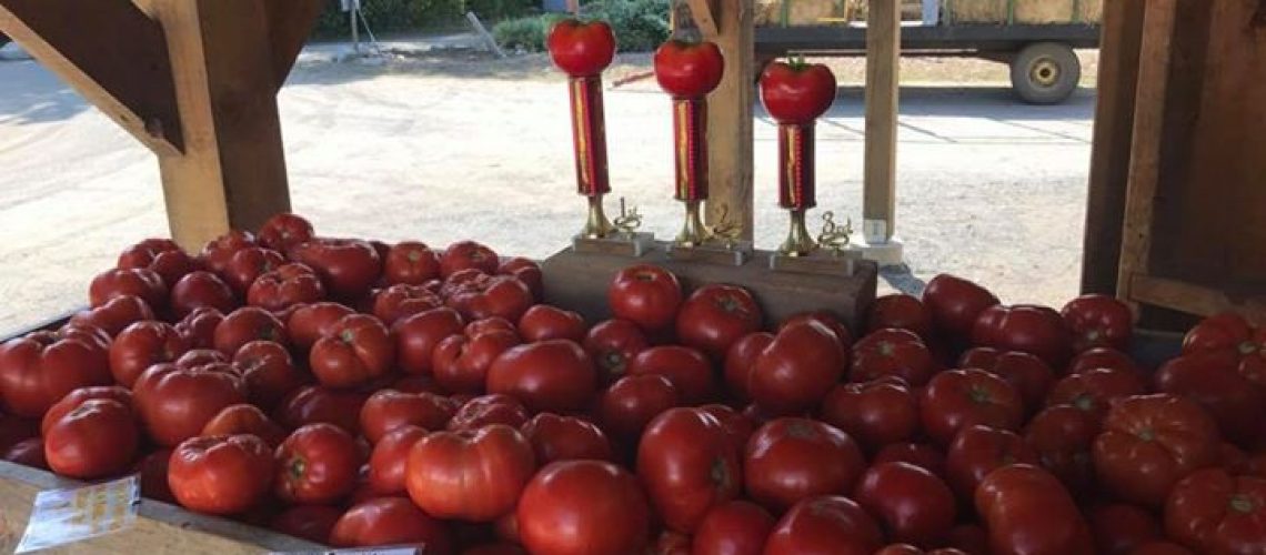 award-wining-langwater-farm-tomatoes.jpg Award wining Langwater Farm Tomatoes!