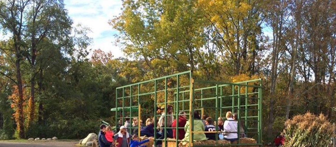 get-down-to-langwater-farms-today-and-stock-up-on-their-great-produce-grab.jpg Get down to Langwater Farms today and stock up on their great produce, grab…