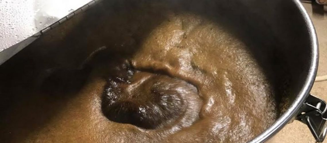 hectic-day-today-brewed-a-coffee-stout-that-smelled-fantastic-citra-dry-hopped-shovel.jpg Hectic day today brewed a coffee stout that smelled fantastic, Citra dry hopped Shovel…