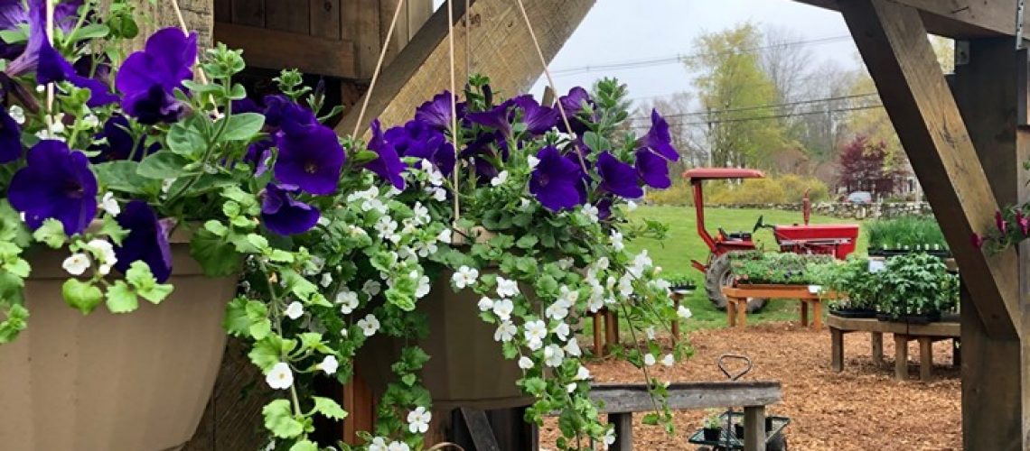 spring-is-here-make-sure-you-stop-by-and-see-our-friends-at-langwater.jpg Spring is here! Make sure you stop by and see our friends at Langwater…