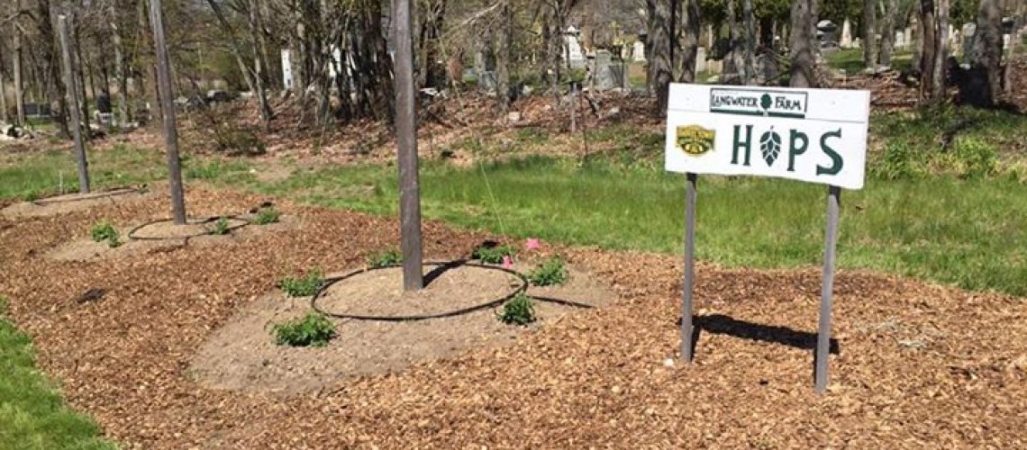 thanks-to-kevin-and-the-team-at-langwater-farm-for-helping-us-clean-up.jpg Thanks to Kevin and the team at Langwater Farm for helping us clean up…