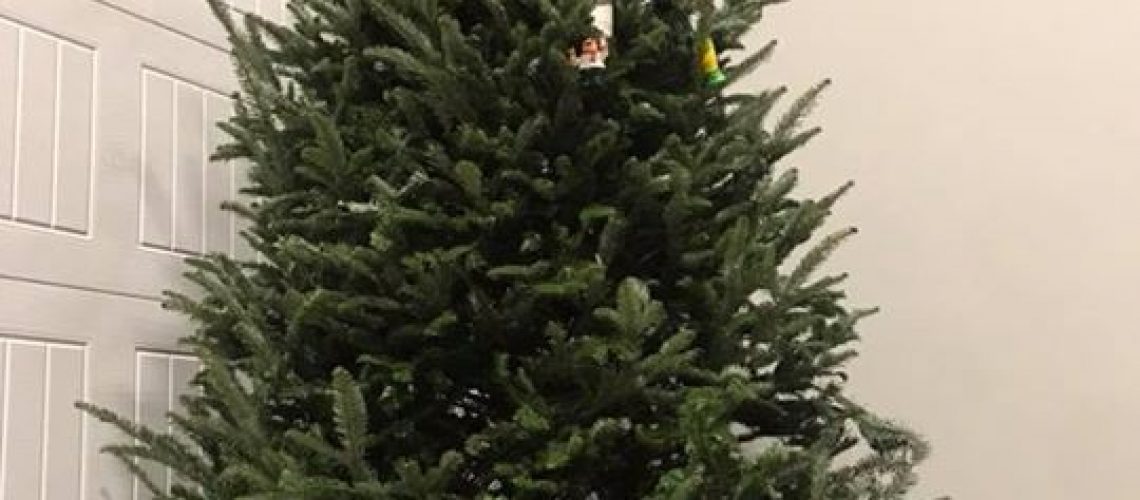 we-got-a-tree-that-weve-slowly-been-decorating-but-we-could-use-your.jpg We got a tree that we’ve slowly been decorating but we could use your…