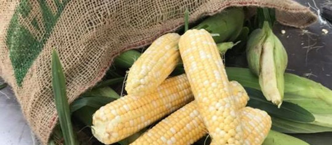 you-guys-have-to-get-the-certified-organic-corn-at-langwater-farm-today-so.jpg You guys have to get the certified organic corn at Langwater Farm today! So…